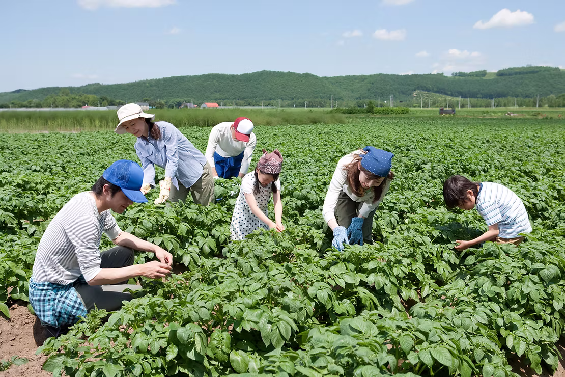 11062b_2f27877c2f1e4b38bdca250415b6cdbe~mv2-1